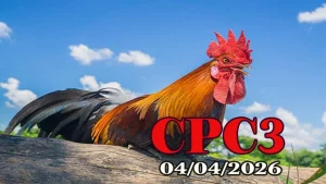 Full video xem lại đá gà Thomo CPC3 ngày 04042026